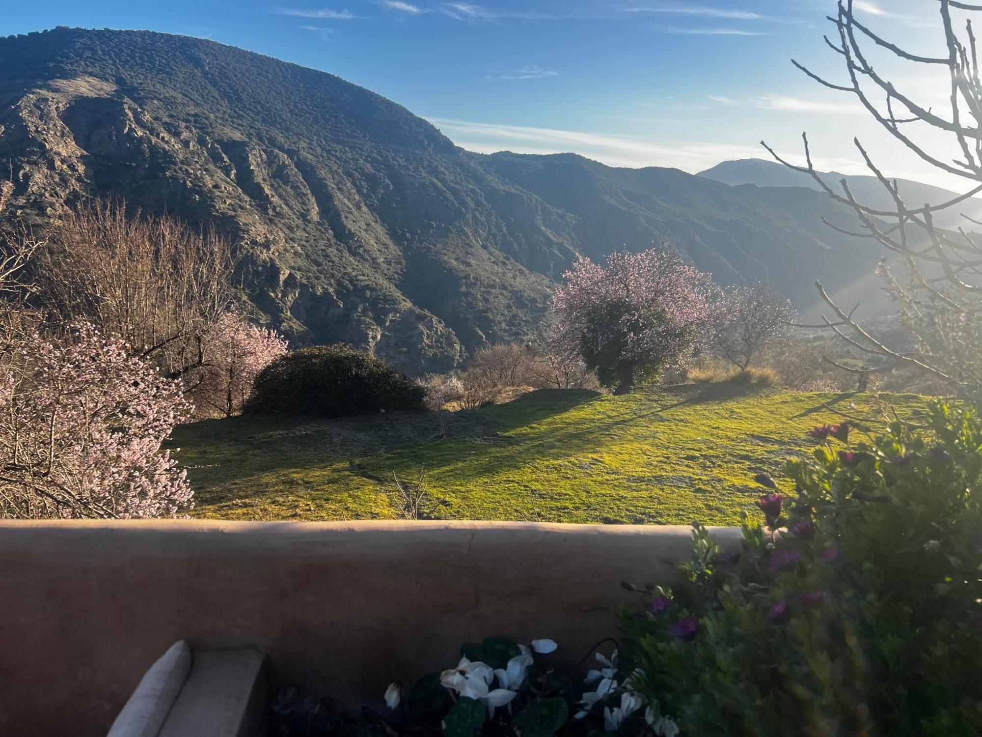 Rural House, Heated Pool & Steam Room, Casa Aloe. Атальбейтар Экстерьер фото